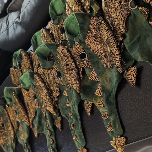 Small Pet Dragon outfit - Picture 9 of 9